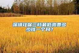 深圳社保三档最低缴费多少钱一个月？