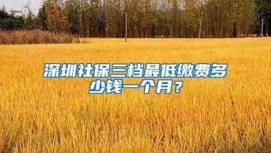 深圳社保三档最低缴费多少钱一个月？