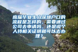 应届毕业生入深圳户口的流程是怎样的，需要通过公司去申请吗，还是说个人持相关证明就可以去办理？