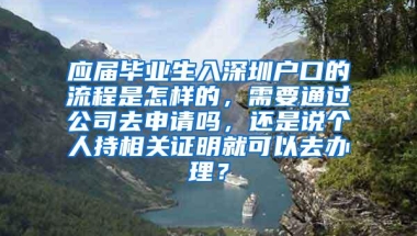 应届毕业生入深圳户口的流程是怎样的，需要通过公司去申请吗，还是说个人持相关证明就可以去办理？