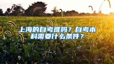 上海的自考难吗？自考本科需要什么条件？