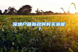 深圳户籍新政何时实施呢？