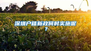 深圳户籍新政何时实施呢？