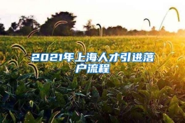 2021年上海人才引进落户流程