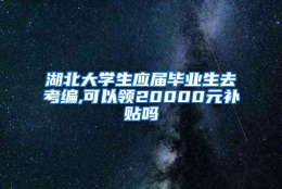 湖北大学生应届毕业生去考编,可以领20000元补贴吗