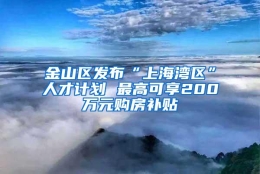 金山区发布“上海湾区”人才计划 最高可享200万元购房补贴