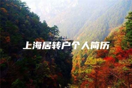 上海居转户个人简历