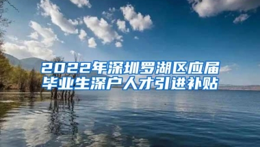 2022年深圳罗湖区应届毕业生深户人才引进补贴