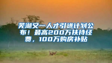 芜湖又一人才引进计划公布！最高200万扶持经费，100万购房补贴