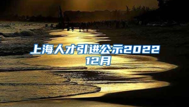 上海人才引进公示2022 12月