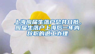 上海应届生落户总共几批，应届生落户上海后一年内辞职的退工办理