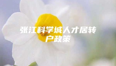 张江科学城人才居转户政策