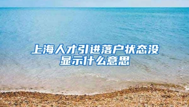 上海人才引进落户状态没显示什么意思