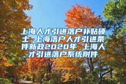 上海人才引进落户补贴硕士 上海落户人才引进条件新政2020年 上海人才引进落户系统附件