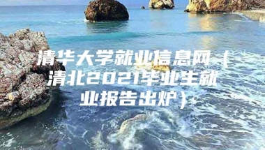 清华大学就业信息网（清北2021毕业生就业报告出炉）