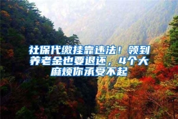 社保代缴挂靠违法！领到养老金也要退还，4个大麻烦你承受不起