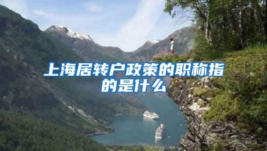 上海居转户政策的职称指的是什么