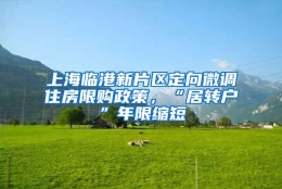 上海临港新片区定向微调住房限购政策，“居转户”年限缩短