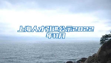 上海人才引进公示2022年11月