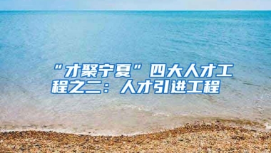 “才聚宁夏”四大人才工程之二：人才引进工程