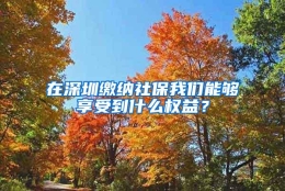 在深圳缴纳社保我们能够享受到什么权益？