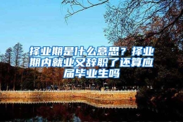 择业期是什么意思？择业期内就业又辞职了还算应届毕业生吗