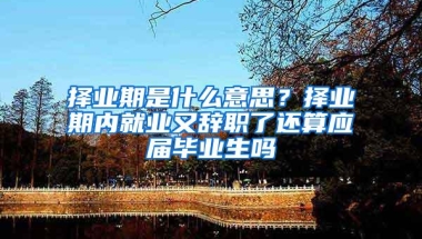 择业期是什么意思？择业期内就业又辞职了还算应届毕业生吗