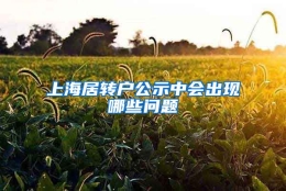 上海居转户公示中会出现哪些问题