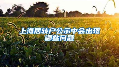 上海居转户公示中会出现哪些问题