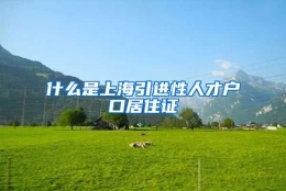 什么是上海引进性人才户口居住证