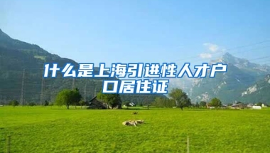 什么是上海引进性人才户口居住证