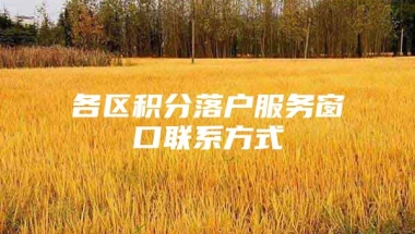 各区积分落户服务窗口联系方式