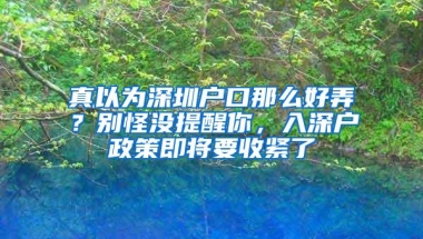 真以为深圳户口那么好弄？别怪没提醒你，入深户政策即将要收紧了