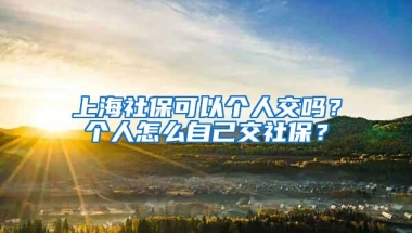 上海社保可以个人交吗？个人怎么自己交社保？