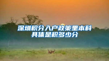 深圳积分入户政策里本科具体是积多少分