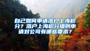 自己如何申请落户上海积分？落户上海积分细则申请对公司有哪些要求？