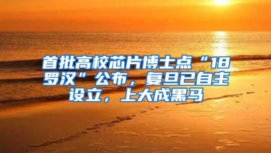 首批高校芯片博士点“18罗汉”公布，复旦已自主设立，上大成黑马