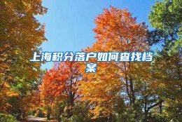 上海积分落户如何查找档案