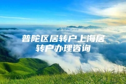 普陀区居转户上海居转户办理咨询