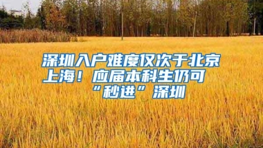 深圳入户难度仅次于北京上海！应届本科生仍可“秒进”深圳