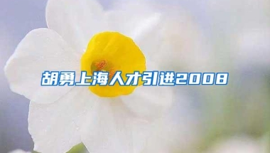 胡勇上海人才引进2008