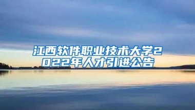 江西软件职业技术大学2022年人才引进公告