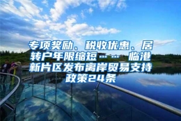 专项奖励、税收优惠、居转户年限缩短…… 临港新片区发布离岸贸易支持政策24条