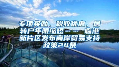 专项奖励、税收优惠、居转户年限缩短…… 临港新片区发布离岸贸易支持政策24条