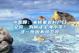 小舍得：米桃家农村户口又穷，为何读上海小学？这一原因不可忽视