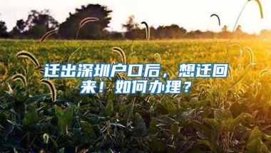 迁出深圳户口后，想迁回来！如何办理？