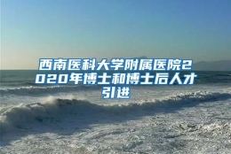 西南医科大学附属医院2020年博士和博士后人才引进