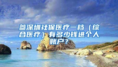 参深圳社保医疗一档（综合医疗）有多少钱进个人账户？