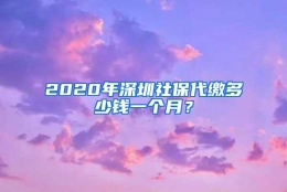 2020年深圳社保代缴多少钱一个月？