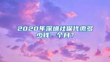 2020年深圳社保代缴多少钱一个月？